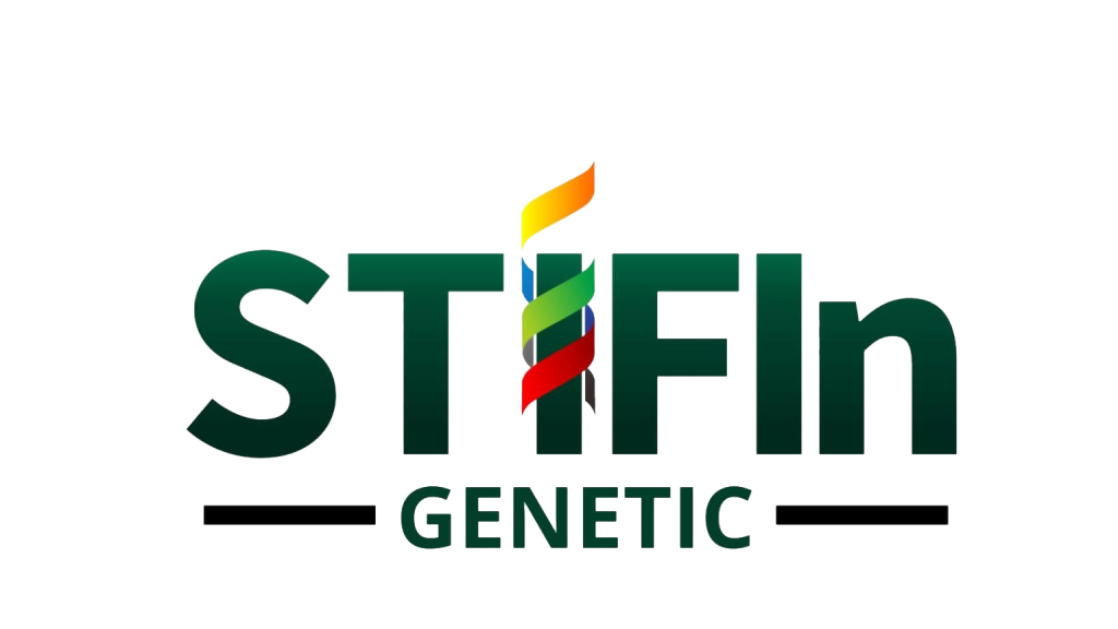 Stefin png